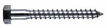 Шурупы DIN 571 Zn  10,0 х 120